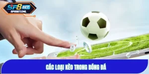 Giải Thích Các Loại Kèo Bóng Đá Phổ Biến Cho Tân Binh