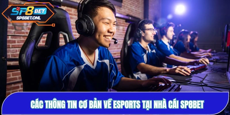 Các thông tin cơ bản về Esports tại nhà cái SP8BET