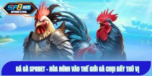Đá Gà SP8BET - Hòa Mình Vào Thế Giới Gà Chọi Đầy Thú Vị