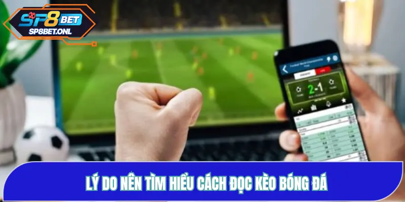 Lý do nên tìm hiểu cách đọc kèo bóng đá