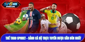 Thể Thao SP8BET: Sảnh Cá Độ Trực Tuyến Được Săn Đón Nhất